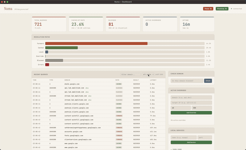 Numa dashboard
